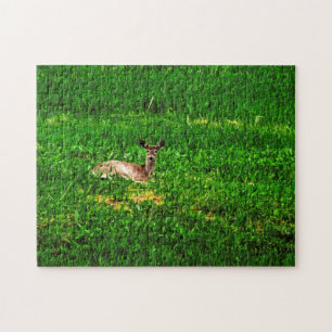 Creative pattern jigsaw puzzle