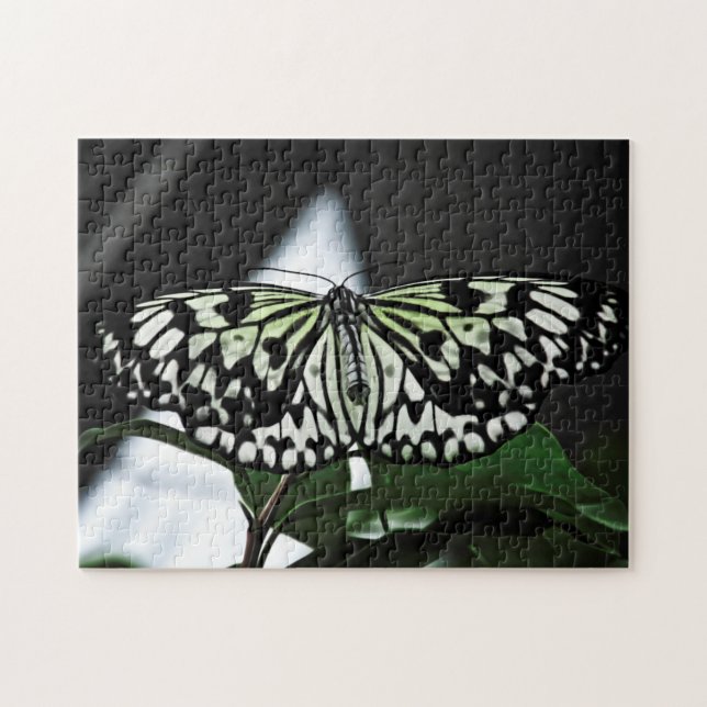 Creative pattern jigsaw puzzle (Horizontal)