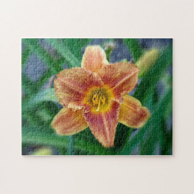 Creative pattern jigsaw puzzle (Horizontal)