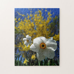 Creative pattern jigsaw puzzle