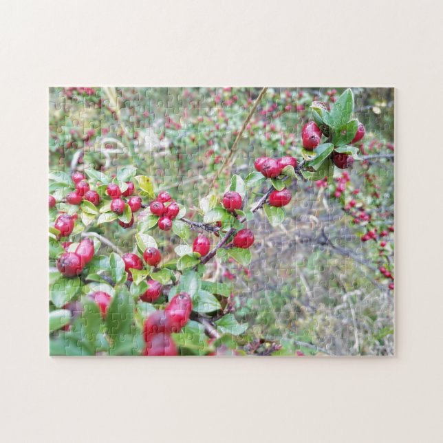 Creative red berries woods photo jigsaw puzzle (Horizontal)