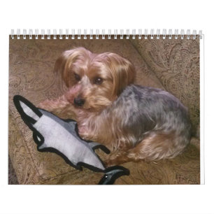 Creative Westie/Yorkie 12 Month Calendar