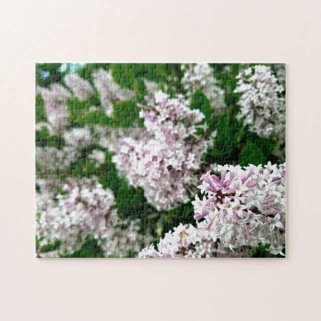 Creative wild flower walk photo jigsaw puzzle (Horizontal)