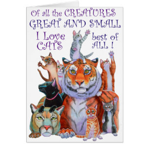 Creatures Great and Small Cat!