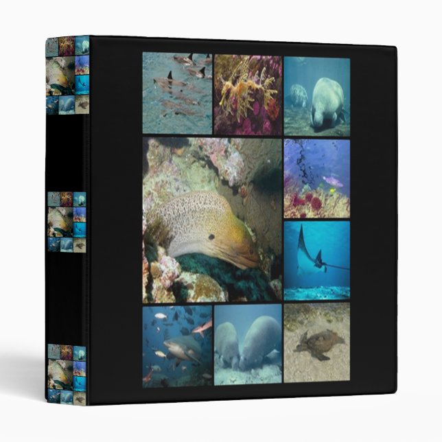 Créatures marines Classeur (Devant/Côté)