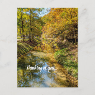 Creek Autumn Reflections Vertical Thinking Of You Postcard