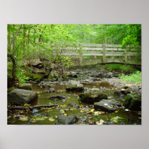 Creek Bridge Forest Poster