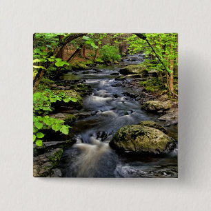 Creek flows through forest 2 inch square button