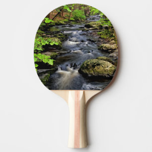 Creek flows through forest ping pong paddle
