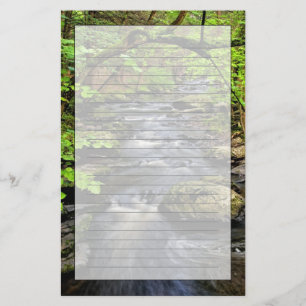 Creek flows through forest stationery