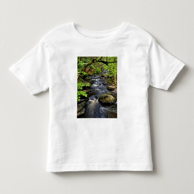 Creek flows through forest toddler t-shirt (Front)