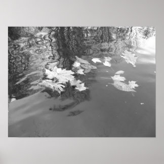 Creek Poster