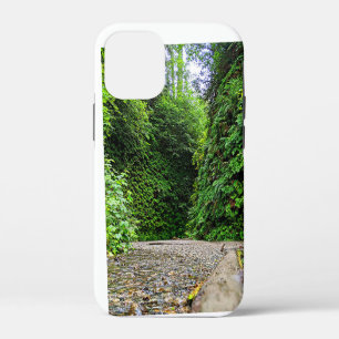 Creek Trail Winds Into Green Walls of Fern Canyon iPhone 12 Mini Case