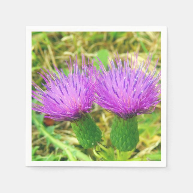 Creeping or Field Thistle Paper Napkins (Front)