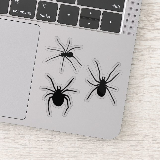Creepy Black Spider Silhouettes (Detail)
