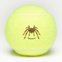 Creepy brown and orange tarantula spider cartoon
