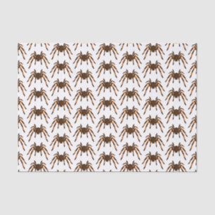 Creepy brown and orange tarantula spider cartoon tissue paper