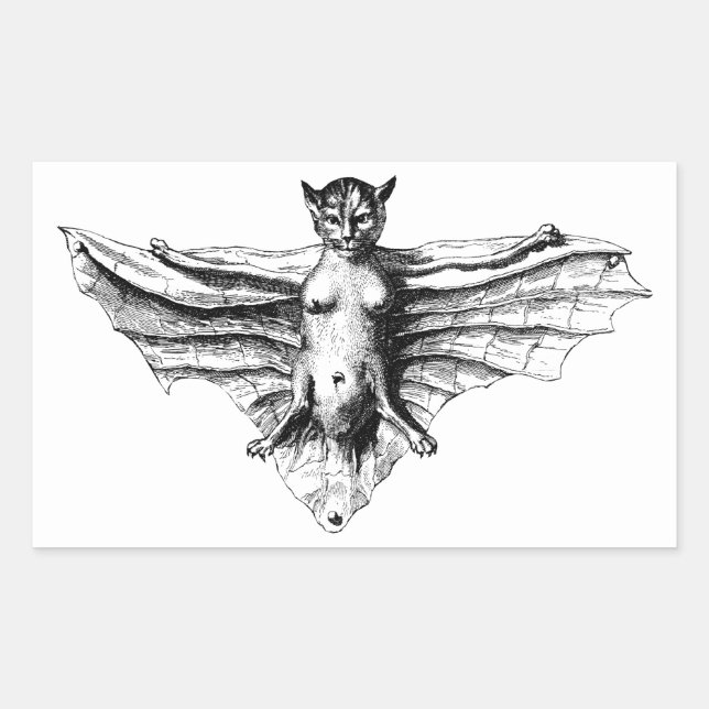 Creepy Cat Bat Creature Monster fantasy beast Sticker (Front)