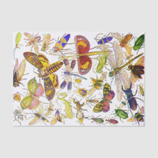 Creepy Crawlies Insect Tissue Paper | Biology