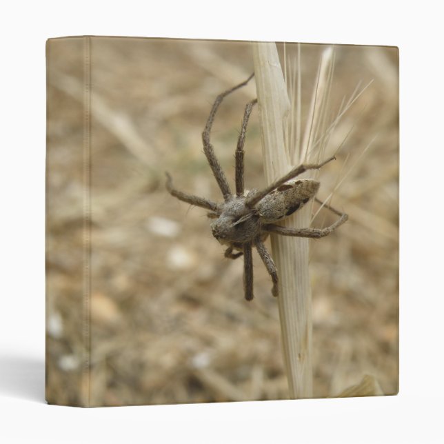 Creepy Crawly Spider Binder (Front/Spine)