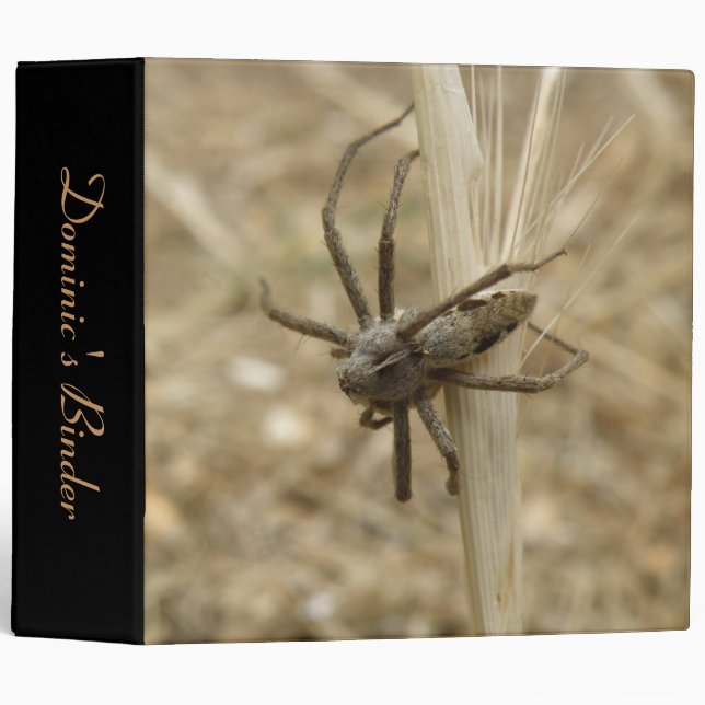 Creepy Crawly Spider Custom Binder (Front/Spine)