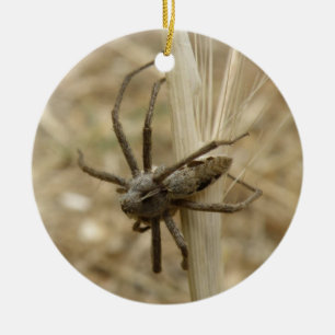 Creepy Crawly Spider Custom Birthday Ceramic Ornament