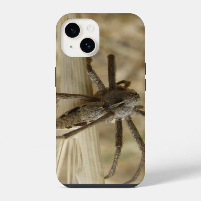 Creepy Crawly Spider iPhone Case (Back)