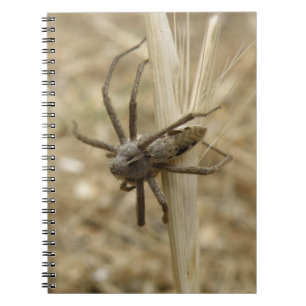 Creepy Crawly Spider Notebook
