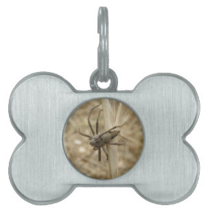 Creepy Crawly Spider Pet Tag