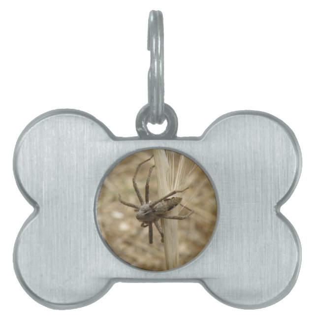 Creepy Crawly Spider Pet Tag (Front)