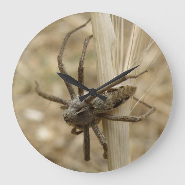Creepy Crawly Spider Wall Clock (Front)