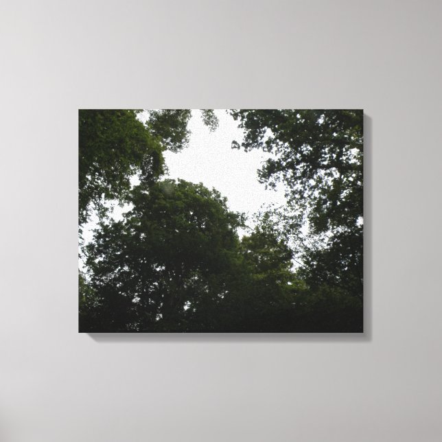 Creepy Forest Canvas Print (Front)