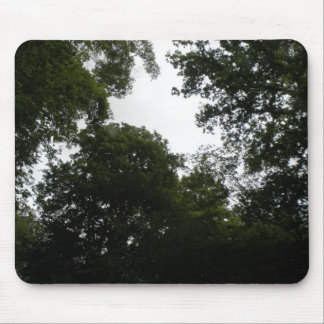 Creepy Forest Mousepad