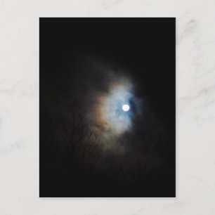 Creepy Night Sky Postcard