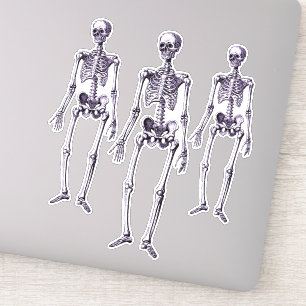Creepy Purple Skeletons Halloween Party Decor