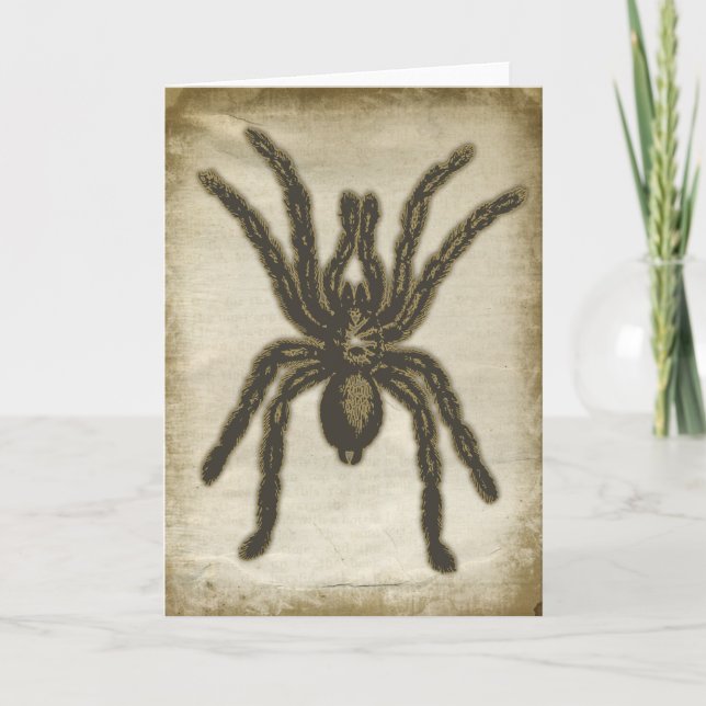 Creepy Spider Greeting Card (Front)