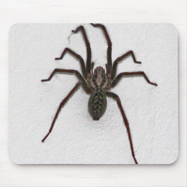 Creepy Spider Mouse Pad (Front)