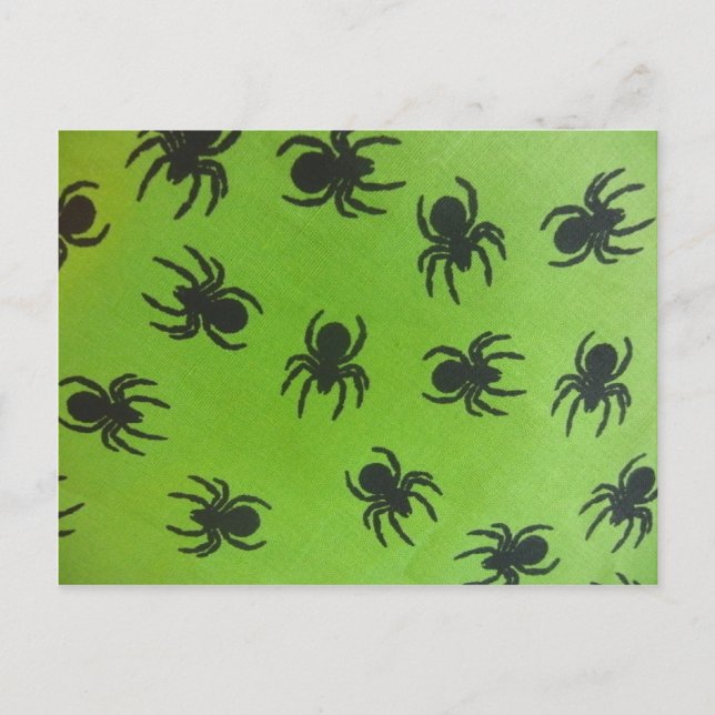 Creepy Spiders Postcard (Front)