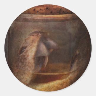 Creepy - Tonight we eat snake Classic Round Sticker