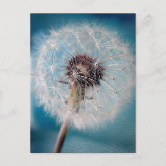 Créer une carte postale