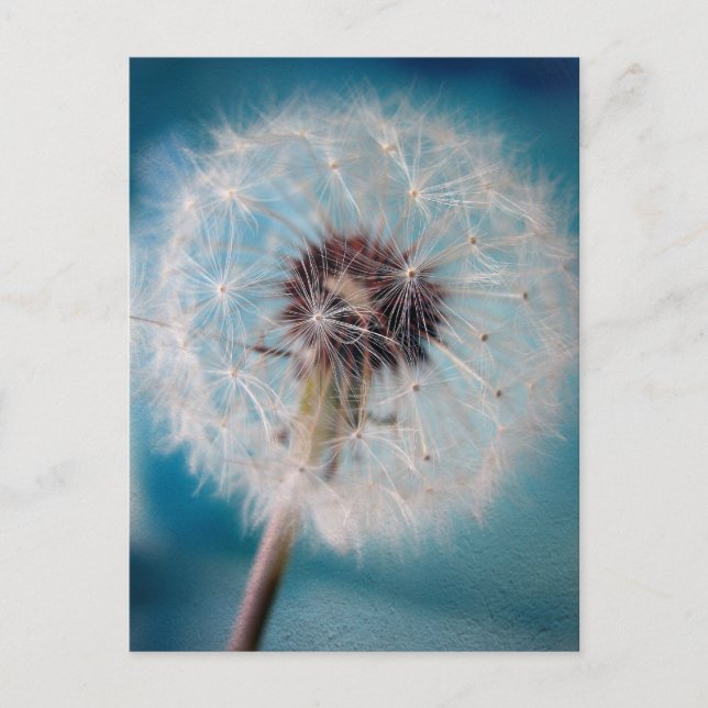 Créer une carte postale (Devant)