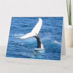 Créer votre propre Carte photo