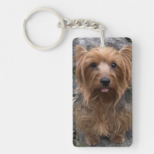 Créez votre propre chien Photo personnalisée Anima