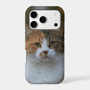 Créez Votre Propre Photo de Chat Personnalisée