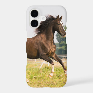 Créez votre propre photo de cheval de compagnie pe