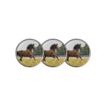 Créez votre propre photo de cheval de compagnie pe