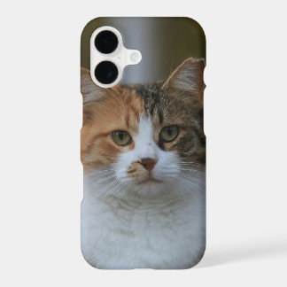 Créez Votre Propre Photo Personnalisée de Chat de