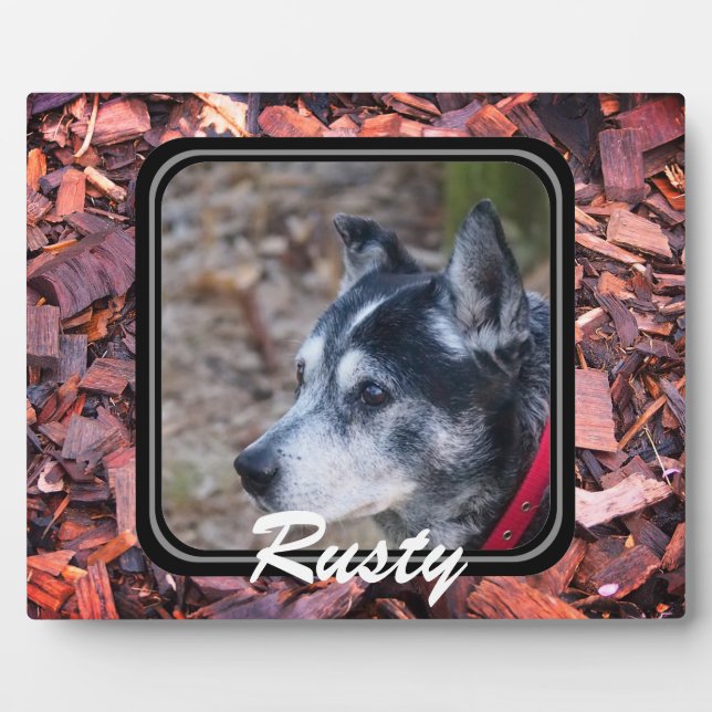 Créez votre propre plaque pour animal de compagnie (Devant)