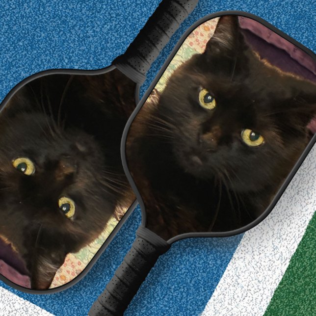 Créez Votre Propre Raquette de Pickleball avec Pho (Créateur téléchargé)