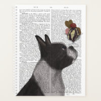 Crème glacée Boston Terrier